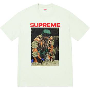 Supreme Ronin Tee T Paidat Minttu | FI238KI